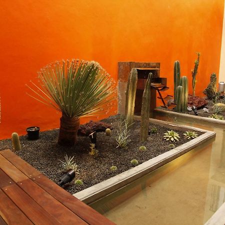 Coyoacan - Inn Мехико Экстерьер фото