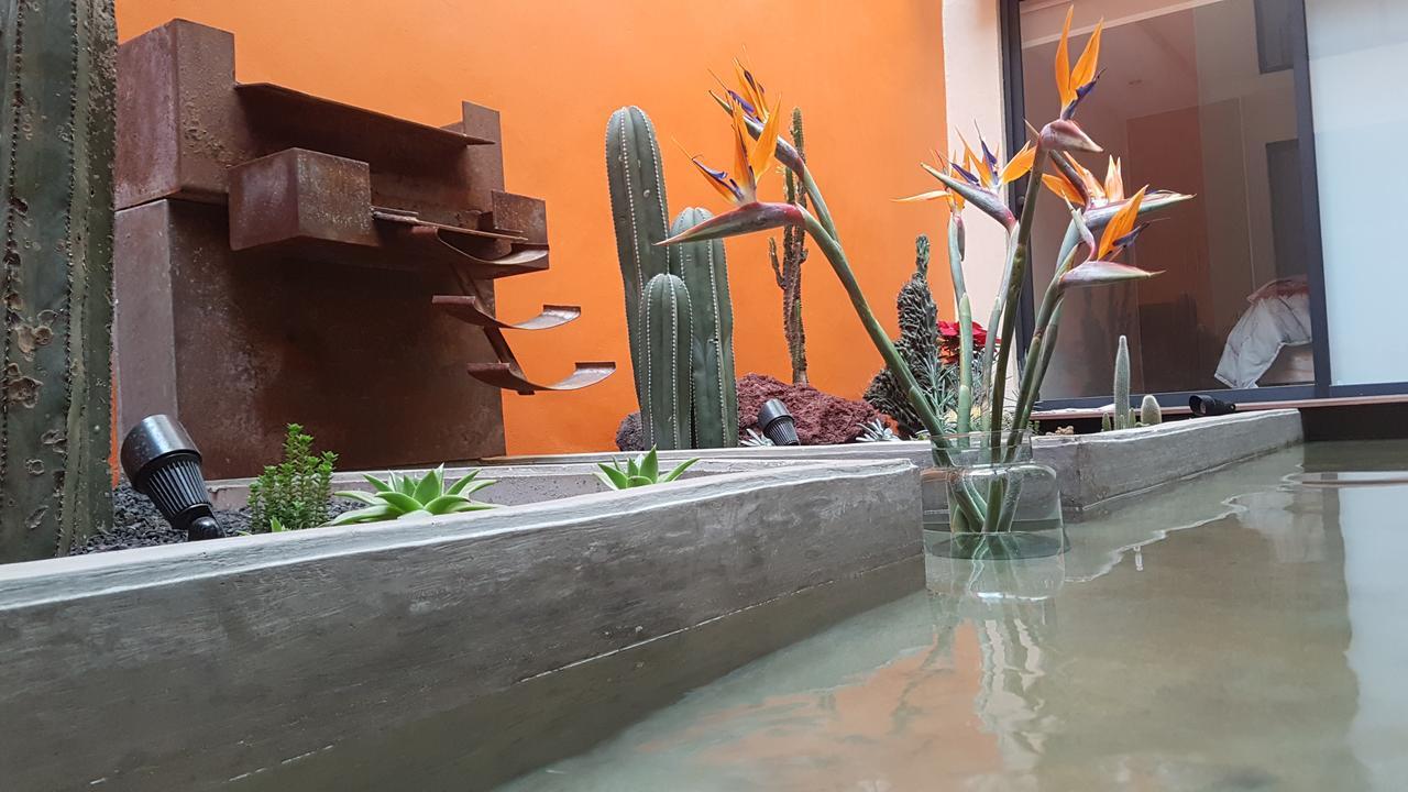Coyoacan - Inn Мехико Экстерьер фото