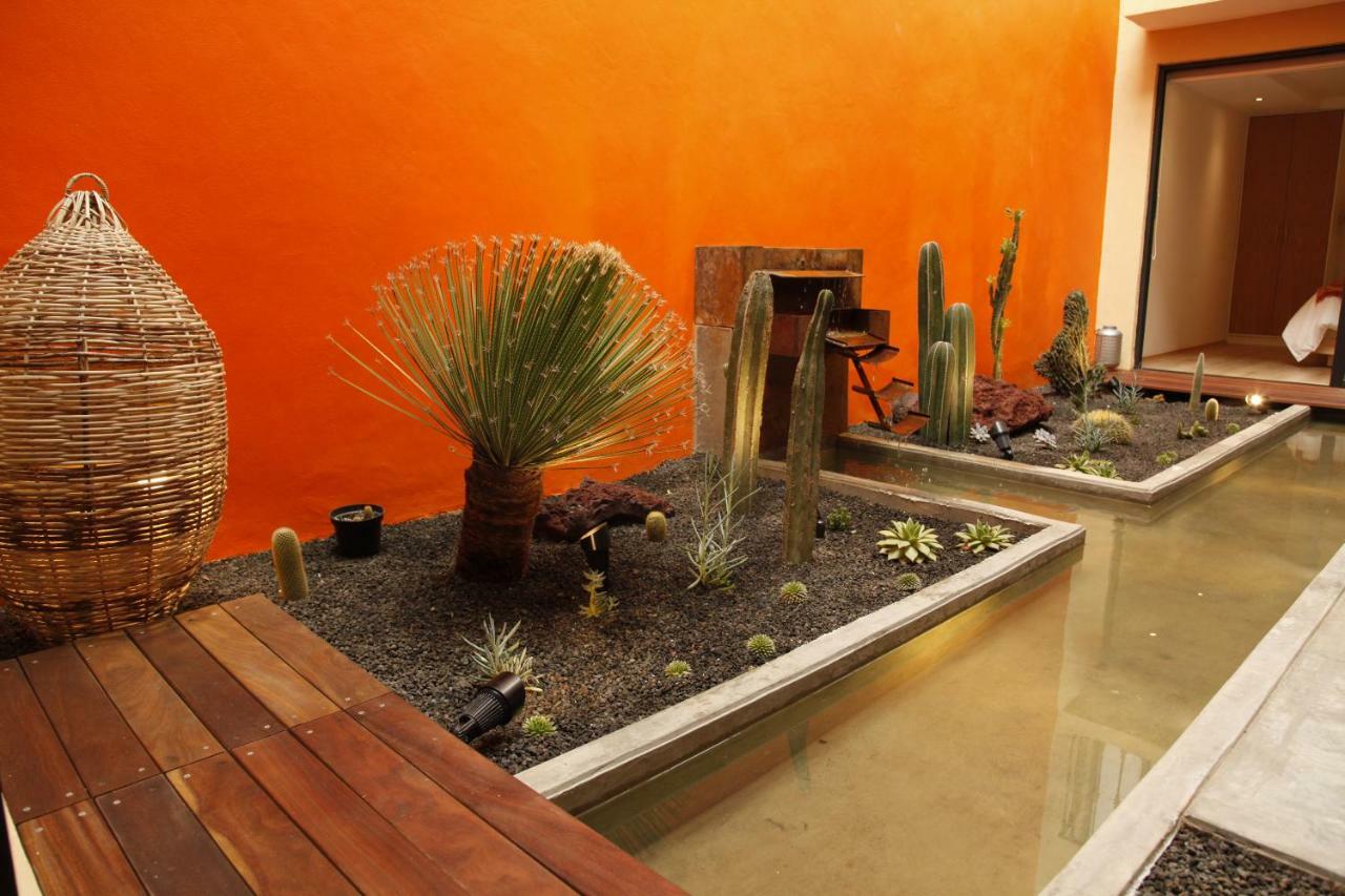 Coyoacan - Inn Мехико Экстерьер фото